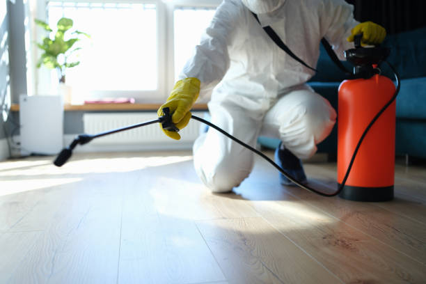 Reliable Odor Removal contractor in Preston, MN by Trauma Clean Pros